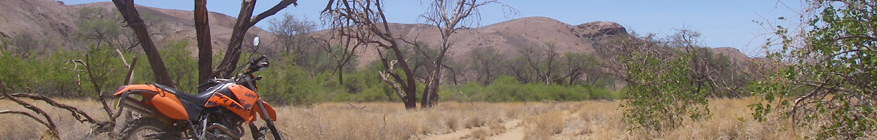 Hier sollte ein Bild zu sehen sein, bitte drücken Sie die F5 Taste Ihres Computers